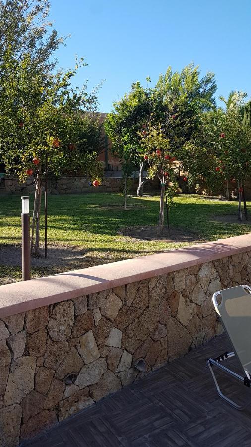 Luxury Villa Casa Maravillosa Zvoronáta Kültér fotó